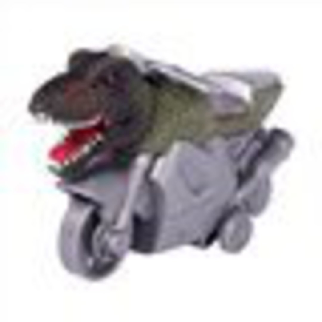Dinosaur Dino Bike image 1